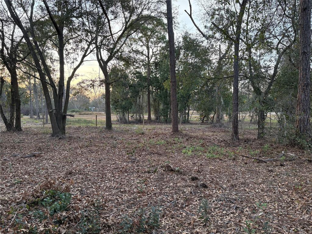 Photo of 0 Alturas Babson Park Cutoff Road #Lot 78, Bartow, FL 33830 (MLS # G5108534)