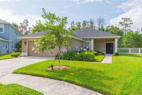 20403 SULTANA COURT TAMPA FL 33647