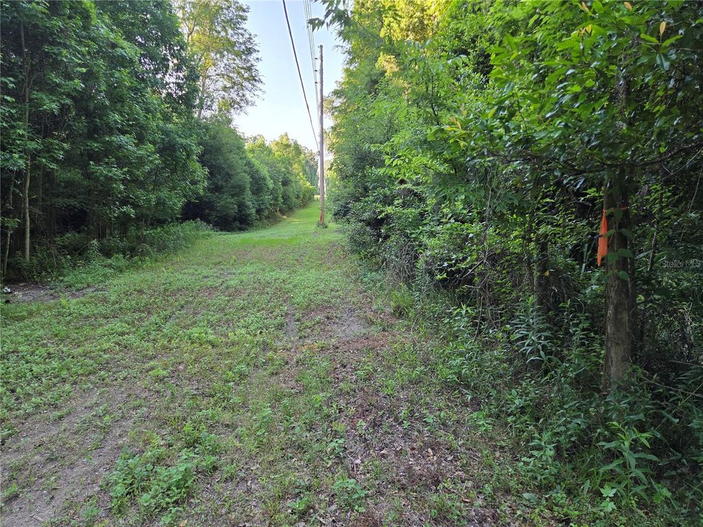 Photo of 15929 NW 135th Terrace, Alachua, FL 32615 (MLS # GC540535)