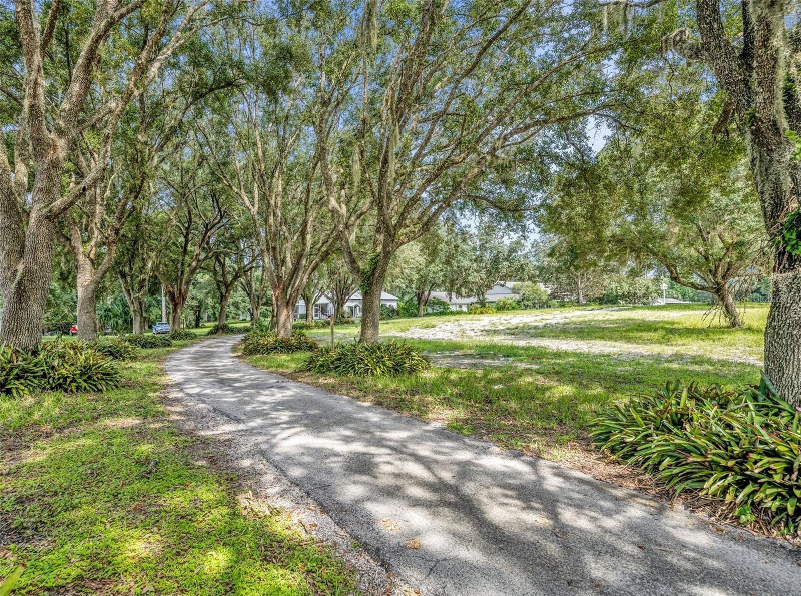 FLORIDA GROVES COMPANYS FIRST ADD TO BLACK HAMMOCK - Residential