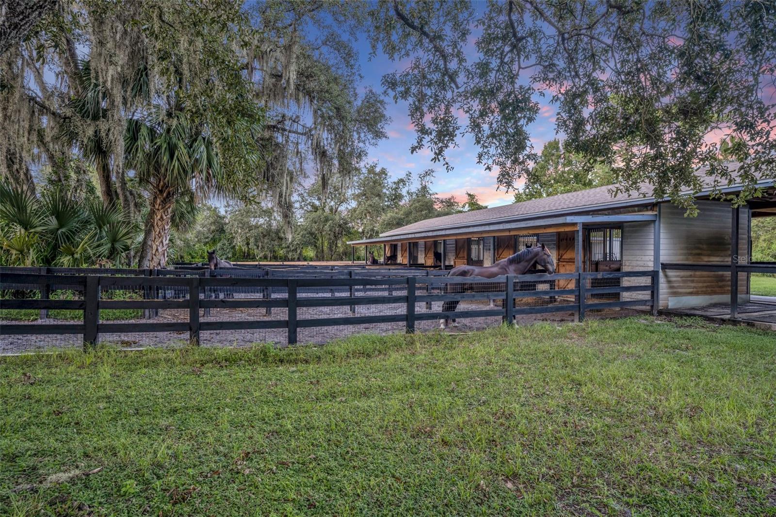 FLORIDA GROVES COMPANYS FIRST ADD TO BLACK HAMMOCK - Residential