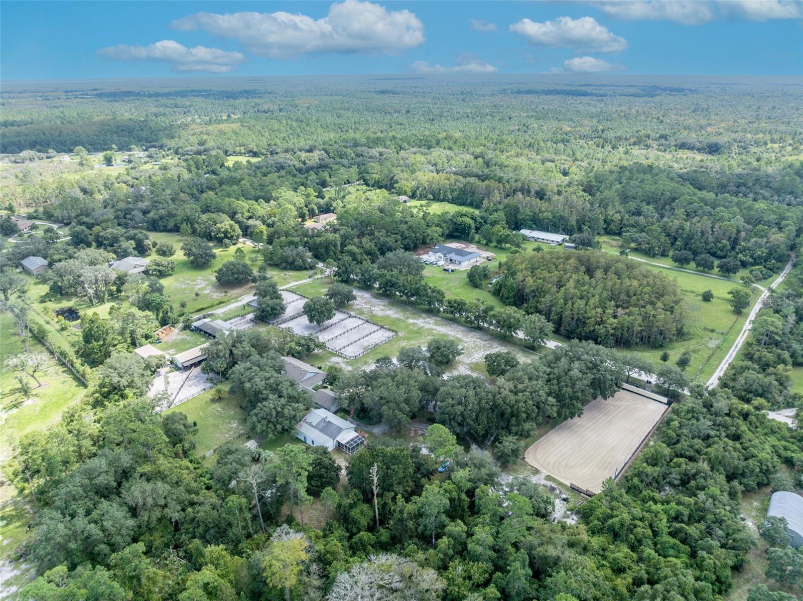 FLORIDA GROVES COMPANYS FIRST ADD TO BLACK HAMMOCK - Residential