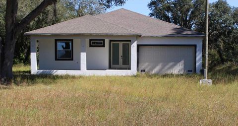 Photo of 6666 N Dormany Road, Plant City, FL 33565 (MLS # TB8448193)