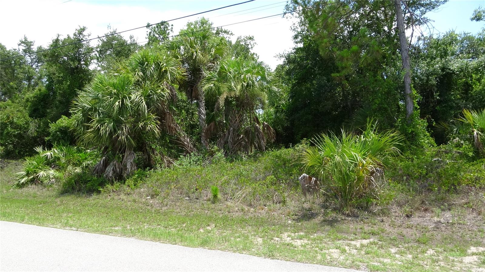 PORT CHARLOTTE SUB 23 - Land