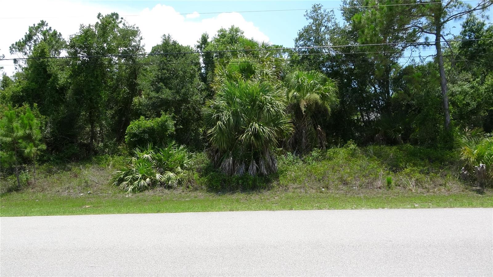 Place your new, delightful home, on Delight Avenue. Many, nice newer homes on the street with more currently under construction in a very "hot" area. PERFECT SOUTHWEST EXPOSURE to maximize sun benefits in your backyard throughout the year. No HOA, no CDD, flood zone X and should require no flood insurance. Conveniently located near stores and restaurants in both North Port and Port Charlottee. Short distance to Atwater Elementary. Enjoy all that the area has to offer in dining, world class fishing, beautiful weather, professional baseball teams, and more. Make this wonderful home site yours TODAY!