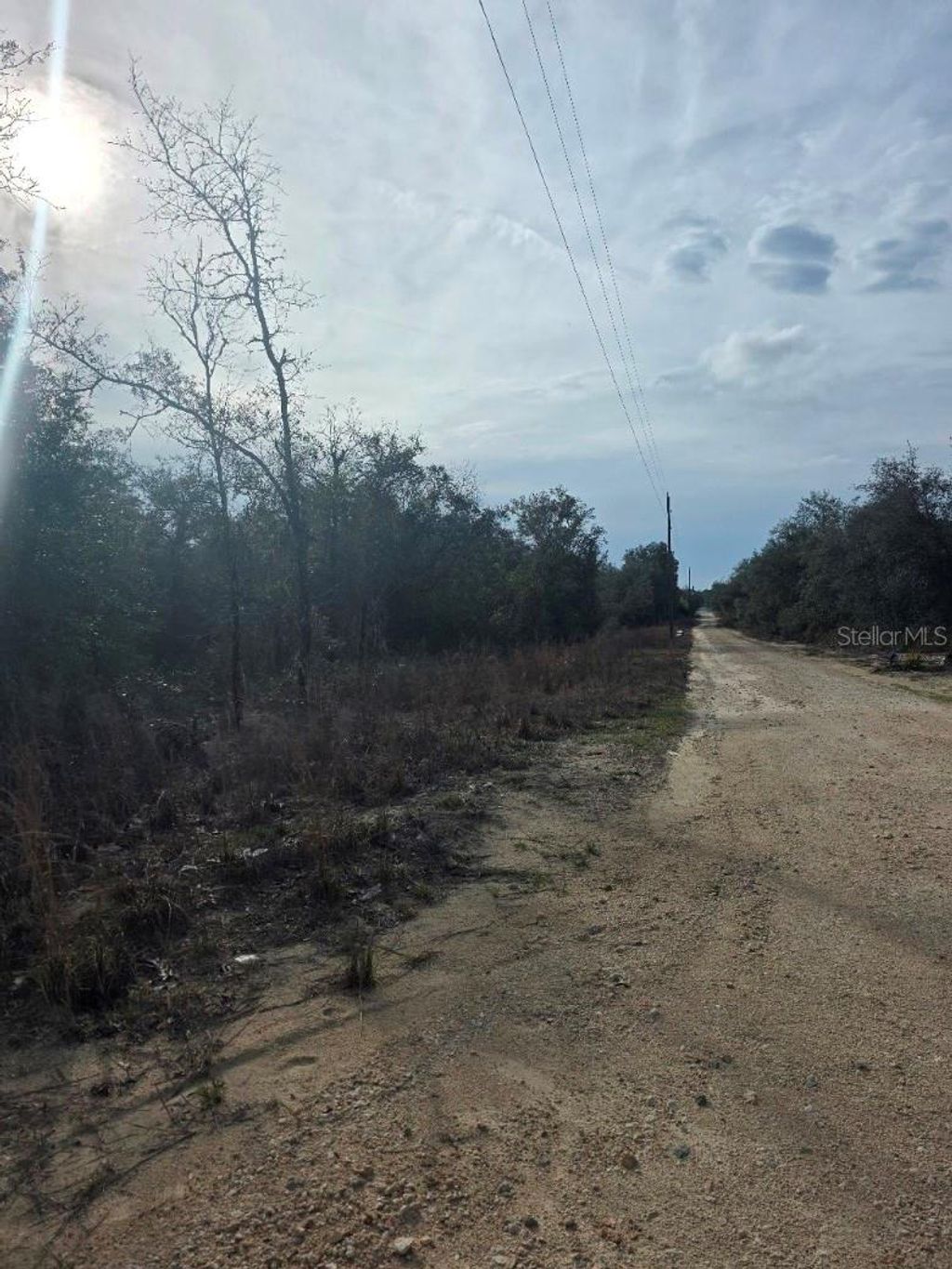 Photo of NE 62 Place, Williston, FL 32696 (MLS # TB8486050)