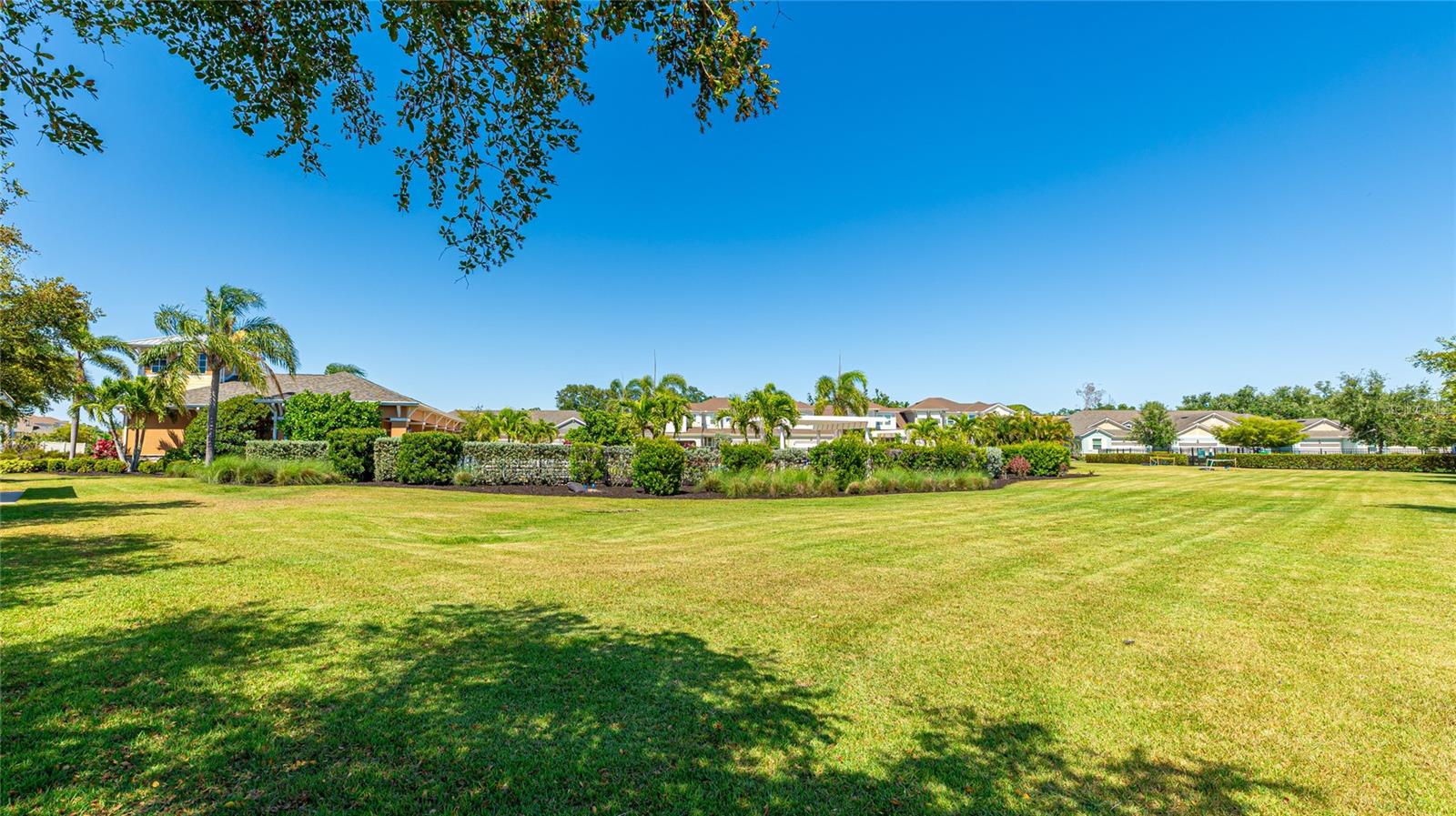 ENCLAVE AT FOREST LAKES - Residential
