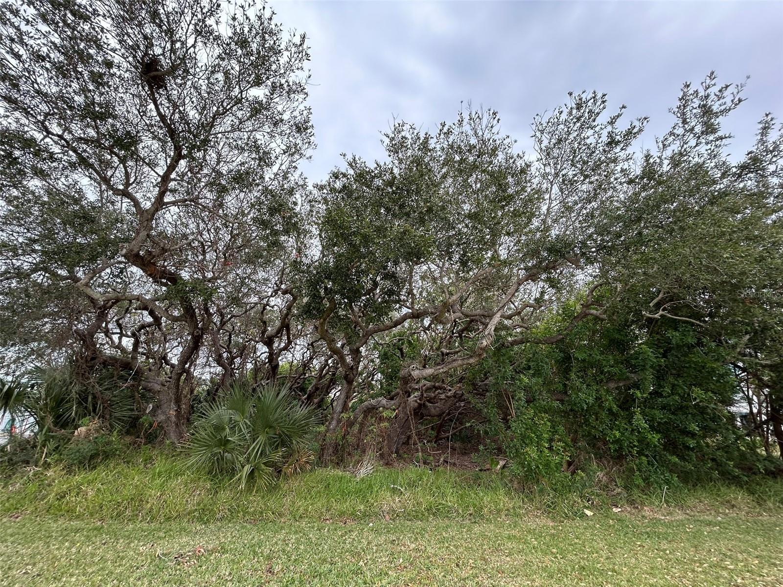 Discover your slice of paradise in Bethune Beach with one of the last remaining 75-foot frontage lots in this secluded and desirable neighborhood. This rare property offers a tranquil setting with a unique variety of mature trees, once locally referred to as "The Enchanted Forest," creating a charming and serene atmosphere. Located just a short walk to the beach walk-over and steps from a canoe and kayak launch at the end of Grunion Avenue, this lot perfectly balances seclusion and convenience. With a fully conforming 75x100 size, it’s ready for your dream home without the need for variances, and thoughtful design could provide stunning potential river views, even from the ground floor. Situated off busy A1A, this quiet neighborhood offers a peaceful, off-the-beaten-path lifestyle while still being close to everything New Smyrna Beach has to offer. This is likely the best-priced, non-waterfront, large conforming lot in the area, making it an exceptional opportunity to build your perfect home. Don’t miss out on this enchanting property—call your agent and builder today!