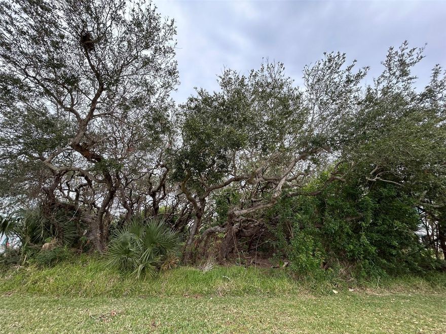 Discover your slice of paradise in Bethune Beach with one of the last remaining 75-foot frontage lots in this secluded and desirable neighborhood. This rare property offers a tranquil setting with a unique variety of mature trees, once locally referred to as "The Enchanted Forest," creating a charming and serene atmosphere. Located just a short walk to the beach walk-over and steps from a canoe and kayak launch at the end of Grunion Avenue, this lot perfectly balances seclusion and convenience. With a fully conforming 75x100 size, it’s ready for your dream home without the need for variances, and thoughtful design could provide stunning potential river views, even from the ground floor. Situated off busy A1A, this quiet neighborhood offers a peaceful, off-the-beaten-path lifestyle while still being close to everything New Smyrna Beach has to offer. This is likely the best-priced, non-waterfront, large conforming lot in the area, making it an exceptional opportunity to build your perfect home. Don’t miss out on this enchanting property—call your agent and builder today!