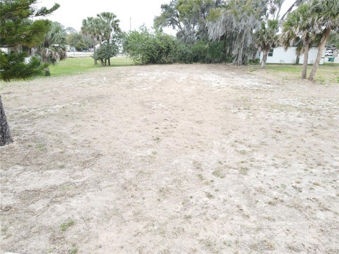 Tiny photo for 209 W Badger Avenue, Eustis, FL 32726 (MLS # G5114249)