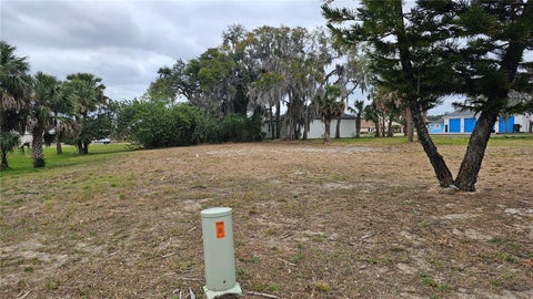 Photo of 209 W Badger Avenue, Eustis, FL 32726 (MLS # G5114249)