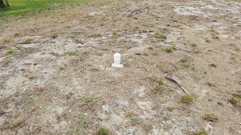 Tiny photo for 209 W Badger Avenue, Eustis, FL 32726 (MLS # G5114249)