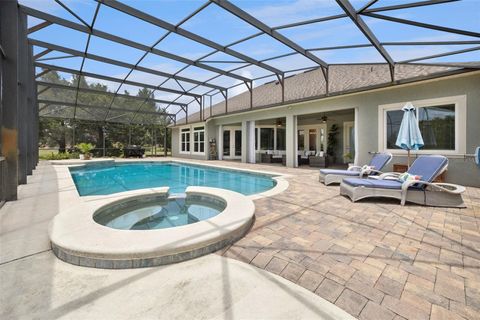 Tiny photo for 19807 Eagle Run, Groveland, FL 34736 (MLS # G5113474)