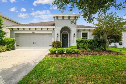 8228 SUNLIT HORIZON LANE LAND O LAKES FL 34637