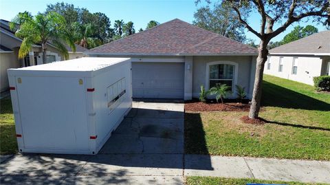 A home in RIVERVIEW