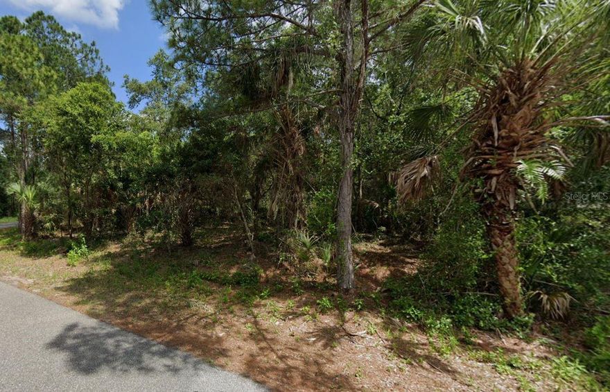 Build your home in a quiet and convenient location yet far enough away from the daily grind to be close to the conveniences we've grown accustomed to. It is also close to airports for the occasional family or friend to visit. Lot 26 and 27 are also FOR SALE, which would complete nearly .71 acres of privacy.  NO HOA to combat, so putting up a privacy fence or a live privacy fence is A-OK, park your RV or Boat on your property, and save on storage costs.    Buy one lot or all three it's up to what you want for privacy either way, get started with getting your SW Florida roots grounded and start living the good life.
Zoned single family, minimum sqft 900 must be on a permanent foundation  well/septic