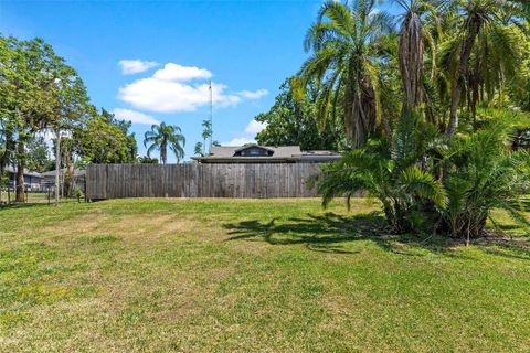 A home in MOUNT DORA