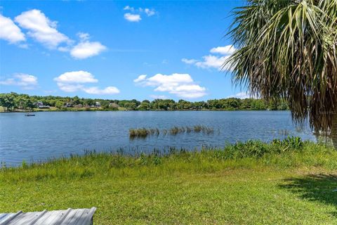 A home in MOUNT DORA