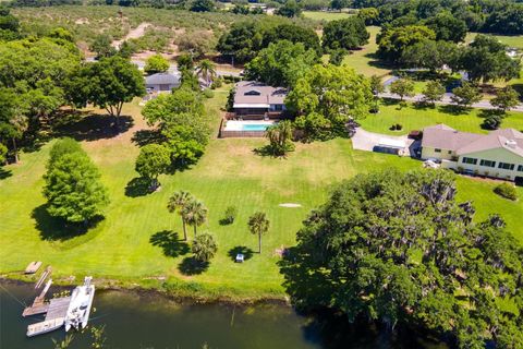 A home in MOUNT DORA