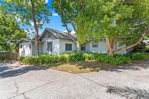 A home in MOUNT DORA