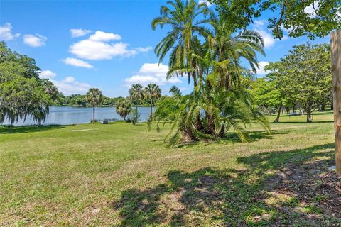 A home in MOUNT DORA