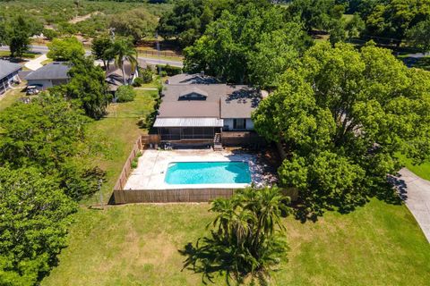 A home in MOUNT DORA