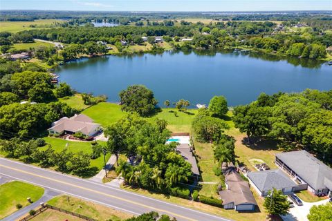 A home in MOUNT DORA