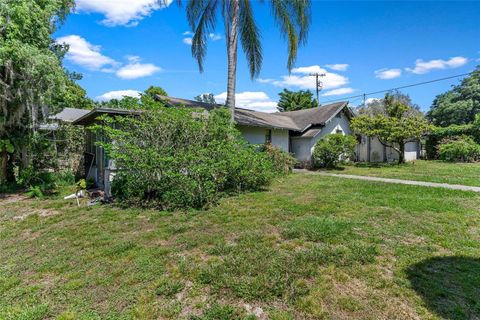 A home in MOUNT DORA