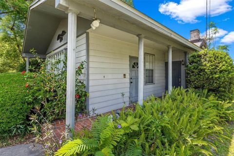 A home in MOUNT DORA