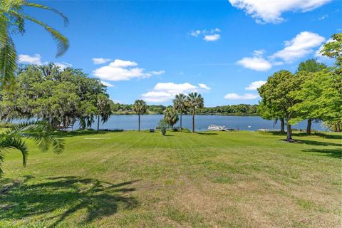 A home in MOUNT DORA