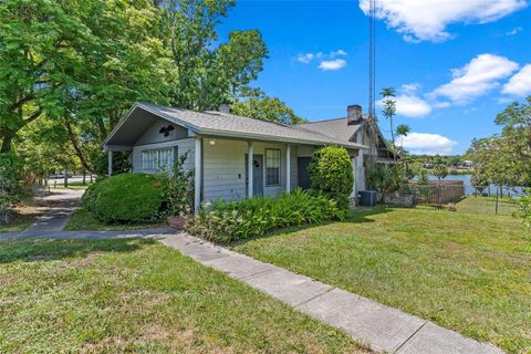 A home in MOUNT DORA