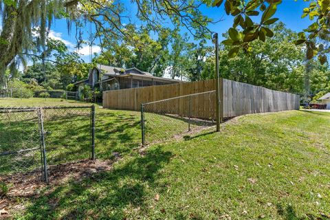 A home in MOUNT DORA