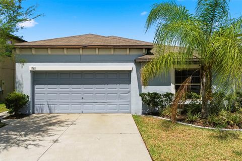 12611 LEMON PEPPER DRIVE RIVERVIEW FL 33578