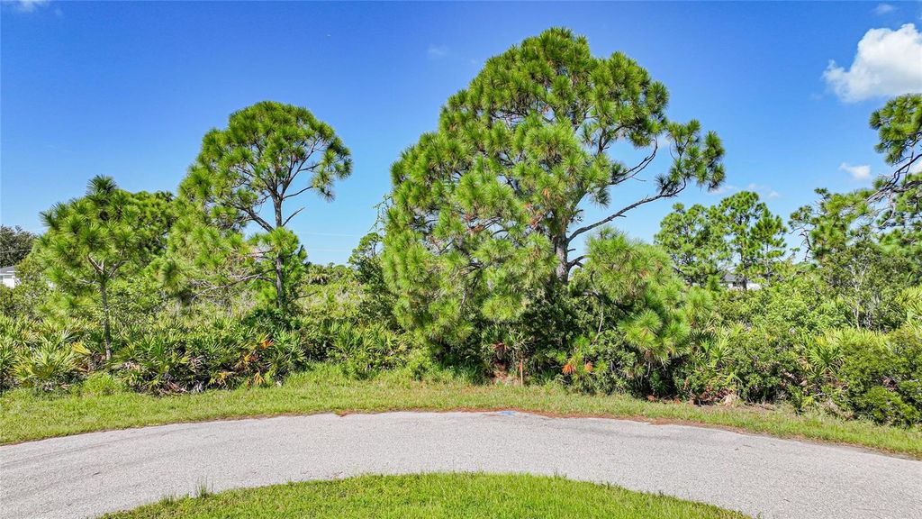 Photo of 12 Dog Court, Placida, FL 33946 (MLS # C7524794)