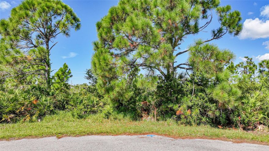 Looking for the perfect spot to build your dream home in Southwest Florida? Look no further! Nestled at the end of a peaceful dead-end street,
this prime lot offers privacy, tranquility, and unbeatable access to all that coastal Florida has to offer. Surrounded by marinas and boat ramps in
every direction, it’s a boater’s dream! Just a short drive to the charming island community of Boca Grande, where you can enjoy beautiful Boca
Grande Beach, boutique shopping, and world-class fishing. Outdoor lovers will appreciate the proximity to scenic bike trails, golf courses, and
expansive county and state parks. Spend your days exploring Manasota Key or soaking up the sun at Englewood Beach, located just across from
popular waterfront restaurants offering live music and vibrant nightlife. Bonus: This property is NOT in a Scrub Jay Permit zone (per Charlotte
County Property Appraiser Mapping Site). Plus, water and sewer hookups are nearby, making your build even easier.