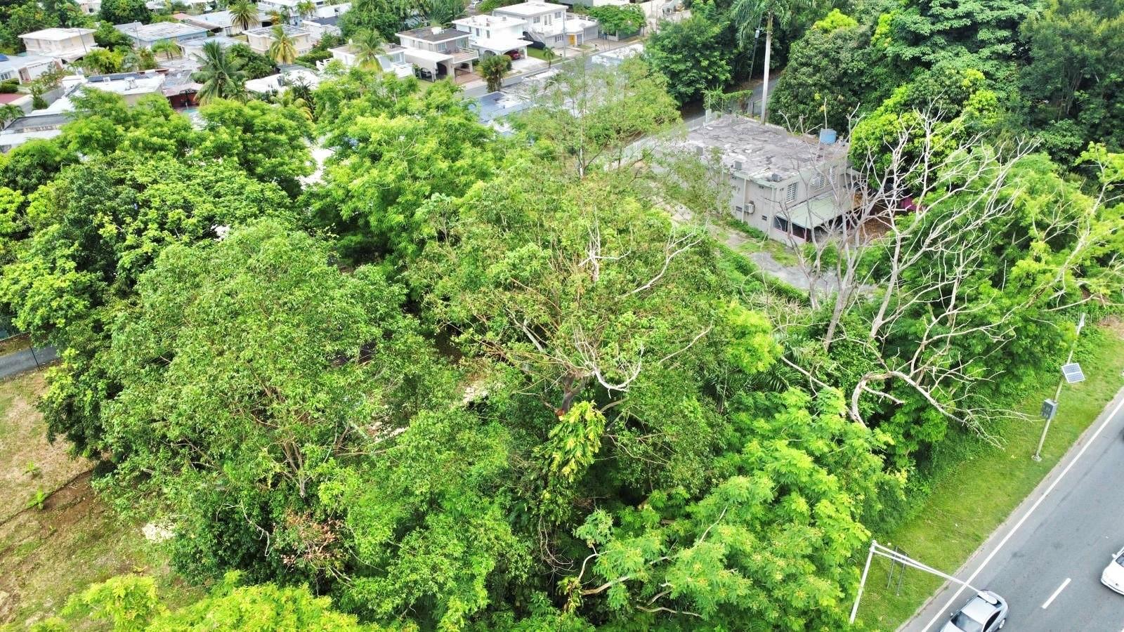 CAIMITO ALTO MORCEL O - Residential