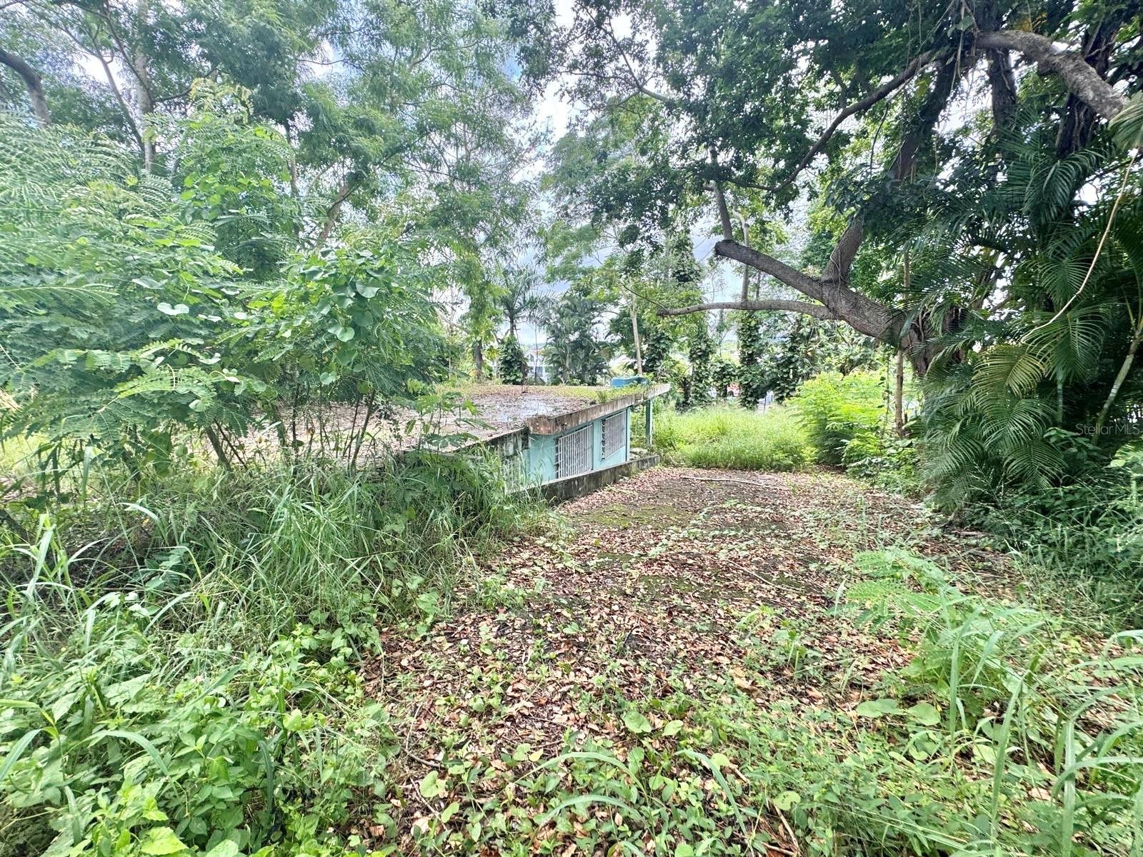 Carr 842 CAIMITO ALTO