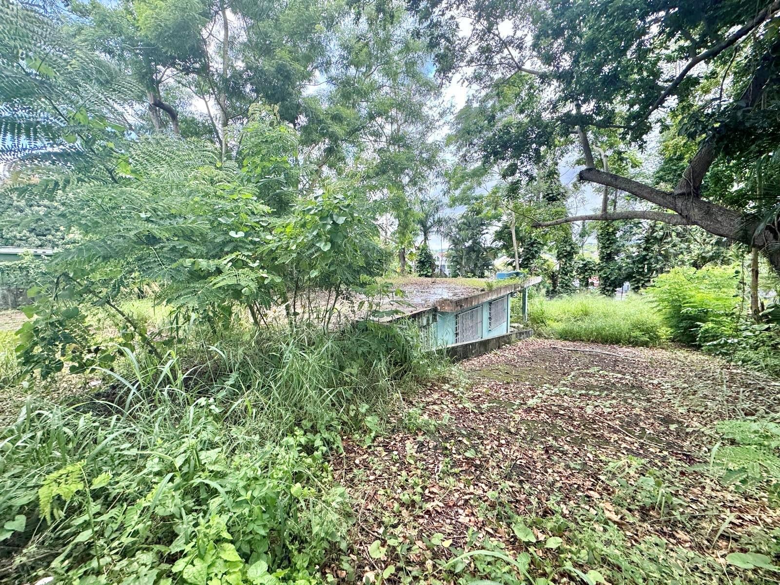 CAIMITO ALTO MORCEL O - Residential