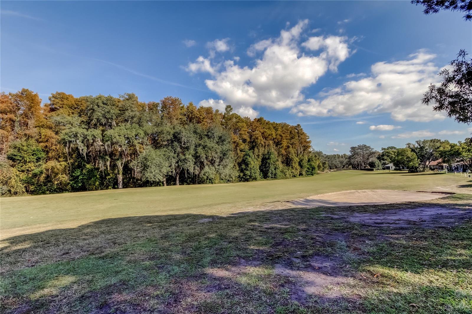 FAIRWAY VILLAS AT MEADOW OAKS - Residential
