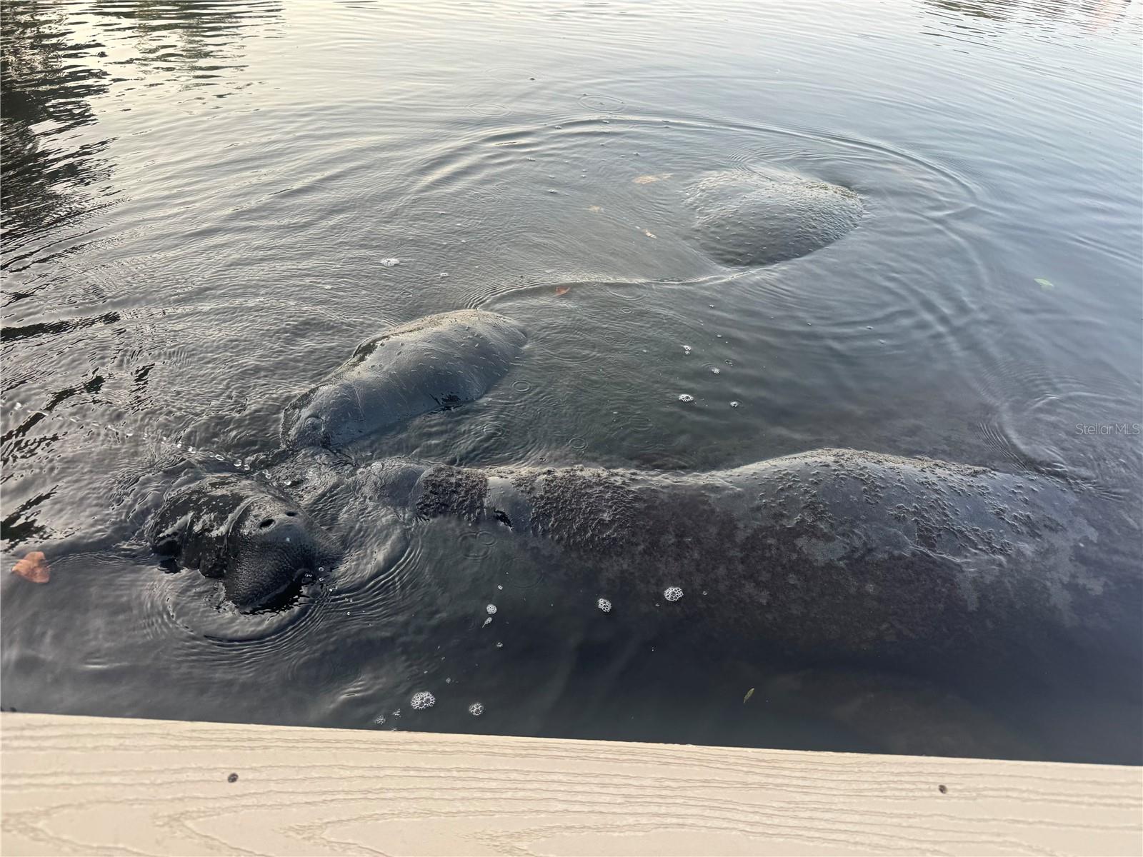 SUN PLAZA ISLES SEC 4 - Residential