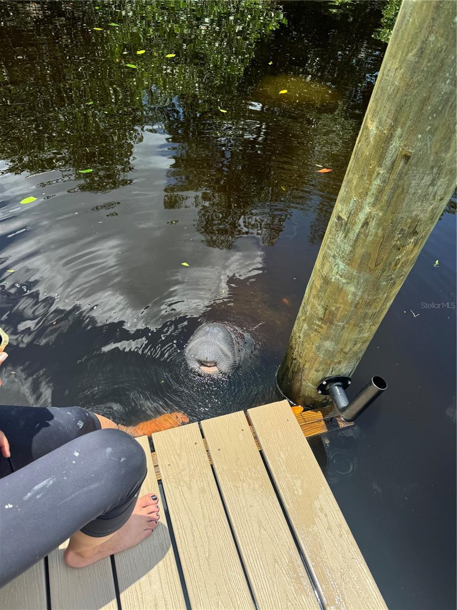 SUN PLAZA ISLES SEC 4 - Residential