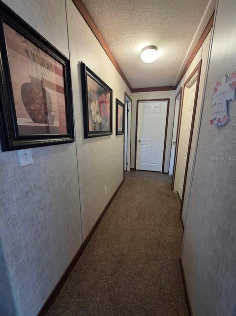 Tiny photo for 10630 NE 80th Street, Bronson, FL 32621 (MLS # TB8484993)