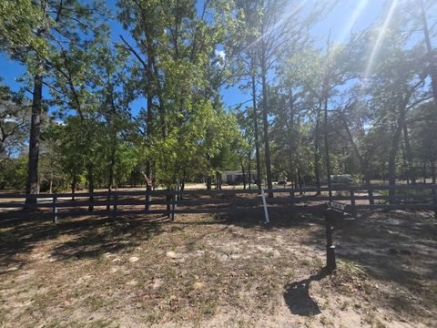 Tiny photo for 10630 NE 80th Street, Bronson, FL 32621 (MLS # TB8484993)