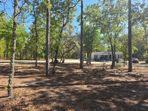 Tiny photo for 10630 NE 80th Street, Bronson, FL 32621 (MLS # TB8484993)