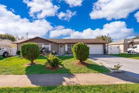 A home in DELTONA