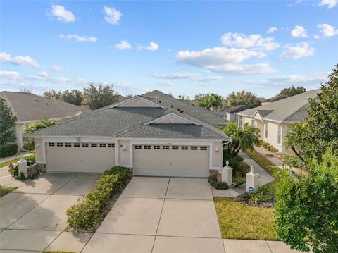 A home in RIVERVIEW