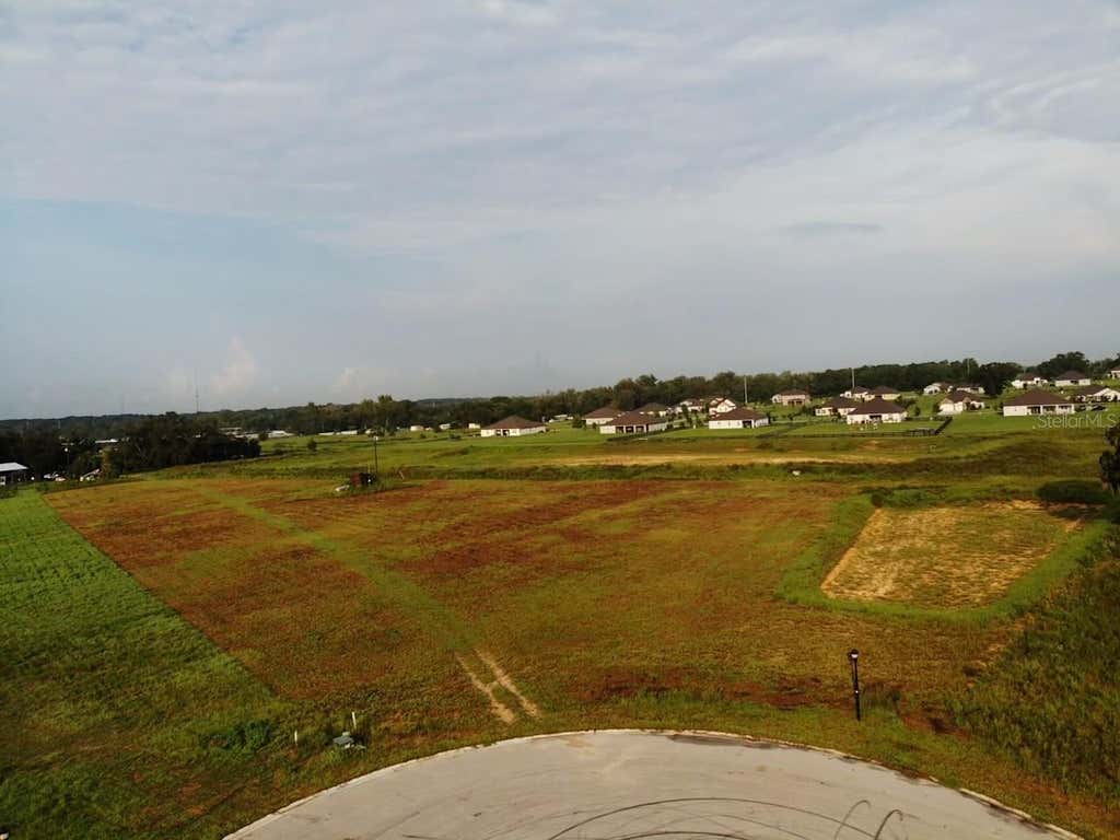 Photo of 10016 White Egret Drive, Thonotosassa, FL 33592 (MLS # O6434528)