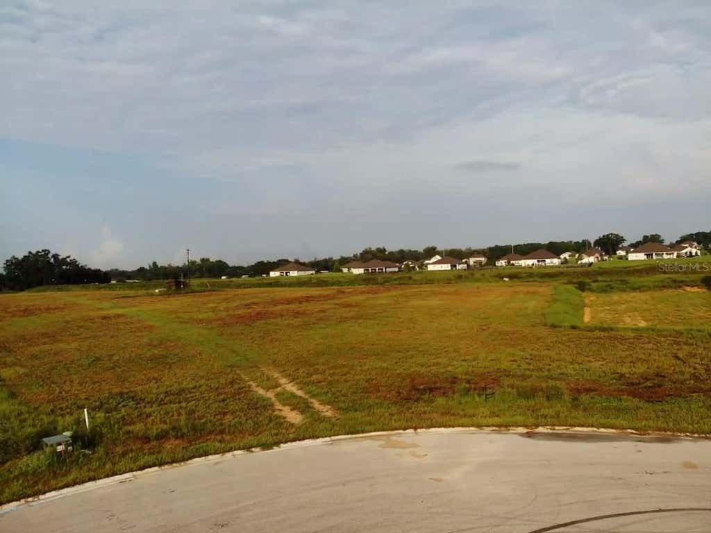 Photo of 10016 White Egret Drive, Thonotosassa, FL 33592 (MLS # O6434528)