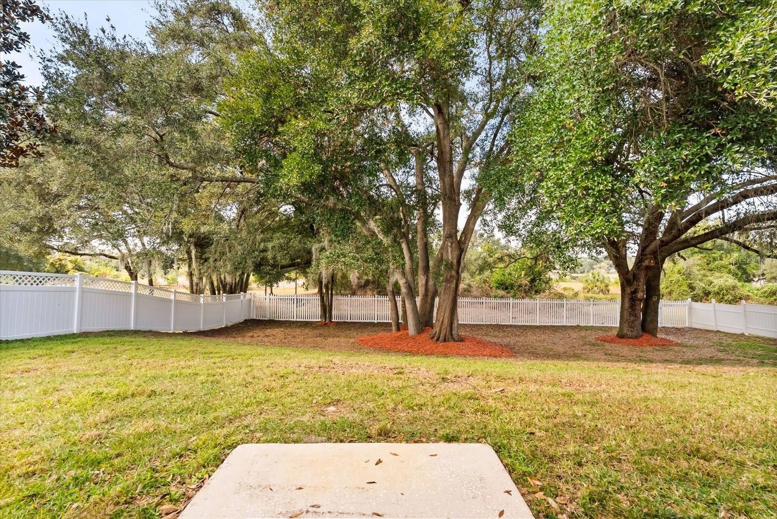 CLERMONT SOUTH LAKE FOREST SUB - Residential