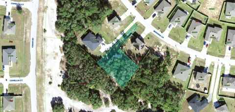 224 BEGONIA LANE POINCIANA FL 34759